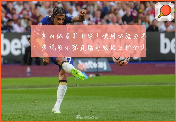 「黑白体育羽毛球」使用体验分享：多视角比赛直播与数据分析的完美结合