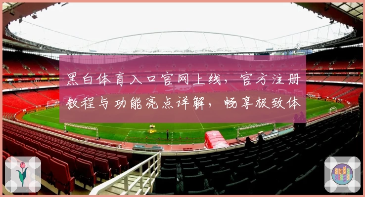 黑白体育入口官网上线，官方注册教程与功能亮点详解，畅享极致体育体验