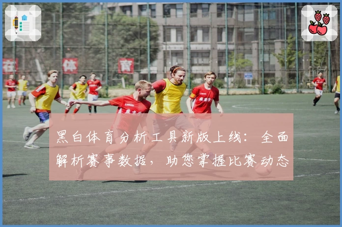 黑白体育分析工具新版上线：全面解析赛事数据，助您掌握比赛动态