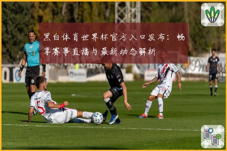 黑白体育世界杯官方入口发布：畅享赛事直播与最新动态解析