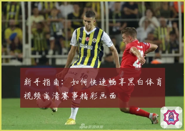 新手指南：如何快速畅享黑白体育视频高清赛事精彩画面
