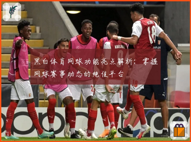 黑白体育网球功能亮点解析：掌握网球赛事动态的绝佳平台