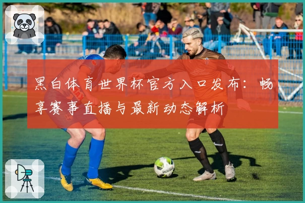 黑白体育世界杯官方入口发布：畅享赛事直播与最新动态解析