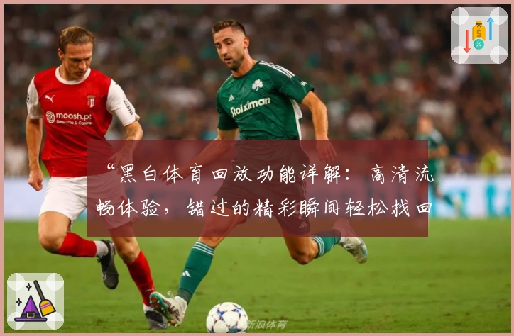 “黑白体育回放功能详解：高清流畅体验，错过的精彩瞬间轻松找回”