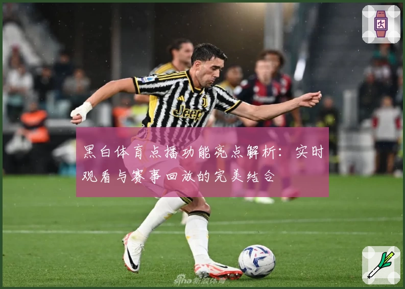 黑白体育点播功能亮点解析：实时观看与赛事回放的完美结合