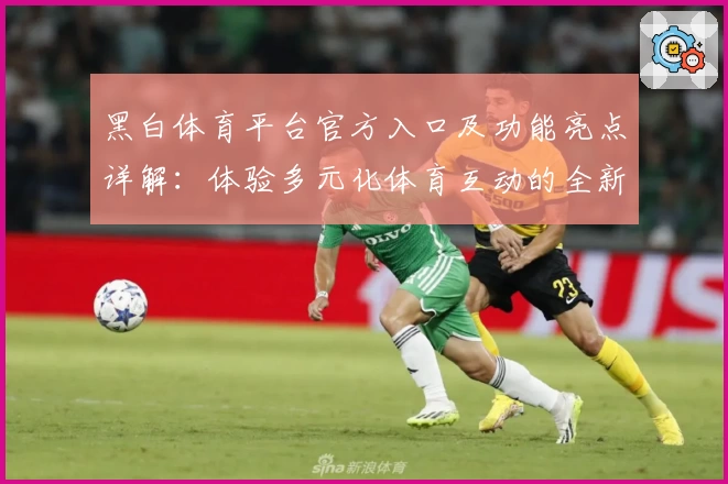黑白体育平台官方入口及功能亮点详解：体验多元化体育互动的全新方式