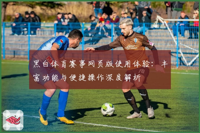 黑白体育赛事网页版使用体验：丰富功能与便捷操作深度解析