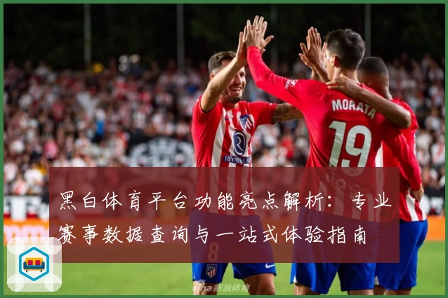 黑白体育平台功能亮点解析：专业赛事数据查询与一站式体验指南