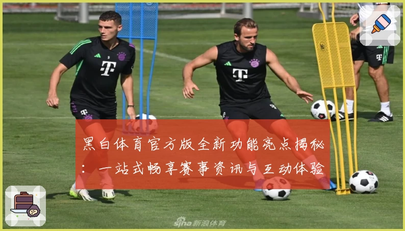 黑白体育官方版全新功能亮点揭秘：一站式畅享赛事资讯与互动体验
