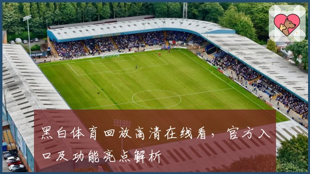 黑白体育回放高清在线看,官方入口及功能亮点解析