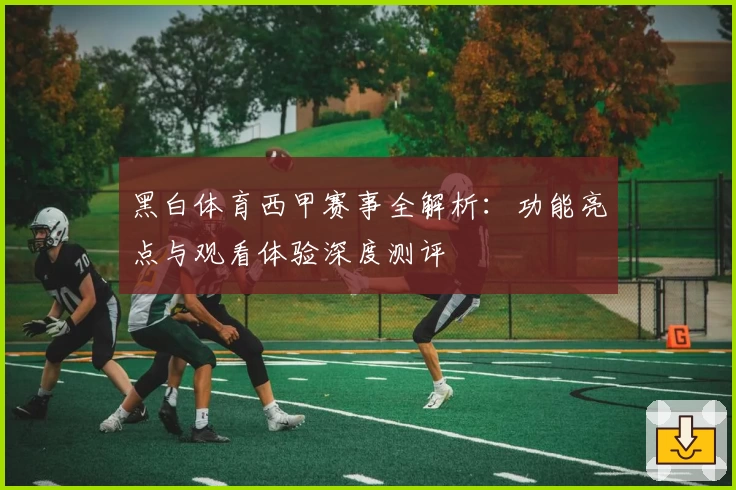 黑白体育西甲赛事全解析：功能亮点与观看体验深度测评